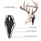 Allen Co EZ Mount Silhouette Skull Peg, Black 7233 - alternate 5